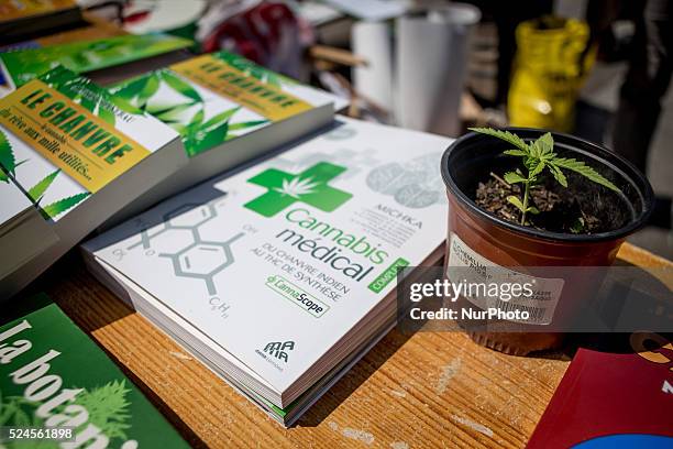 A cannabis plant with several book about cannabis medical . Annual pro marijuana march in paris between Bastille square and republic square. People...