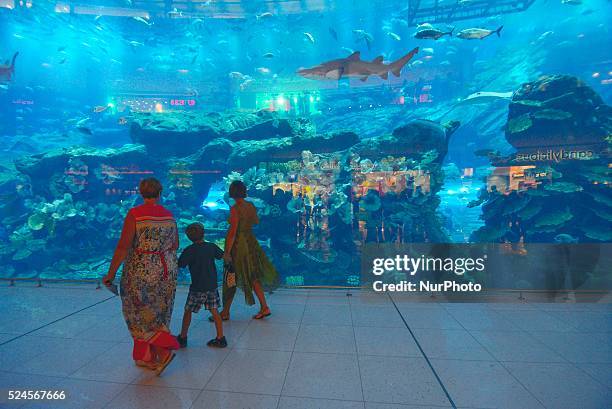 Tourists look at a shark in the Dubai mall aquarium. The amount of tourists visiting Dubai, UAE, increased over 10 million and keeps growing.