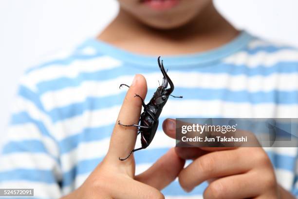 family portraits - kid middle finger stock-fotos und bilder