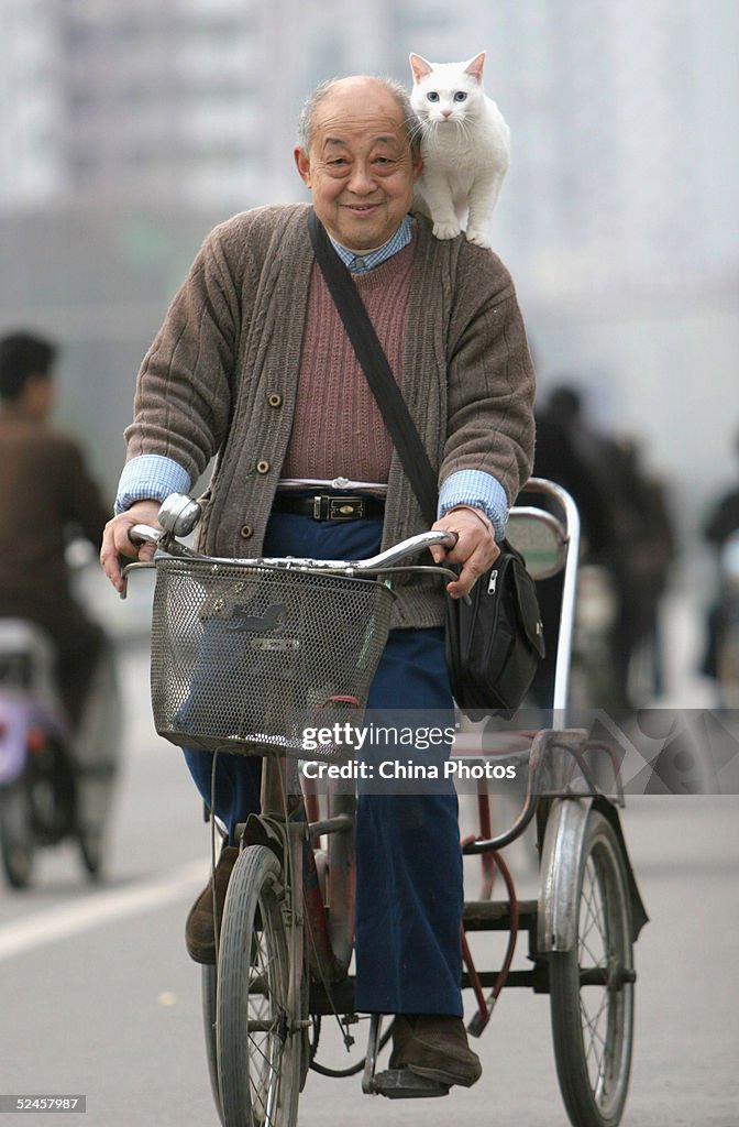 Elderly Man Carrying Cat Rides Tricycle At A Street