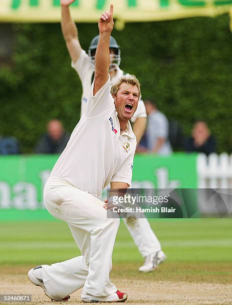 Shane Warne of Australia appeals unsuccessfully for the wicket of Chris Martin of New Zealand during day four of the 2nd Test between New Zealand and...