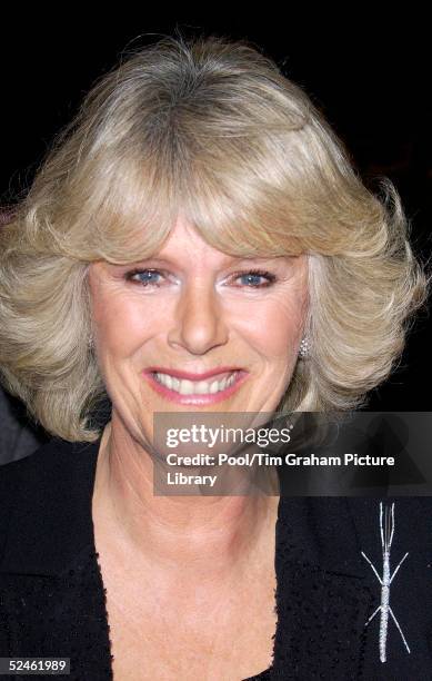 Camilla Parker-Bowles is photographed at an unspecified event. Clarence House has confirmed today that Charles and partner Camilla Parker-Bowles will...