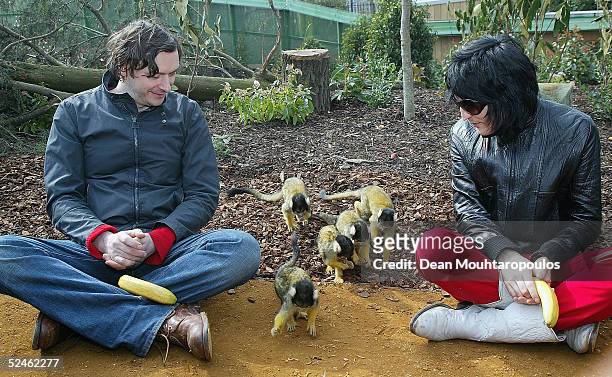 Julian Barratt and Noel Fielding of comic duo The Mighty Boosh launch the new walk-through monkey enclosure with the help of its resident squirrel...