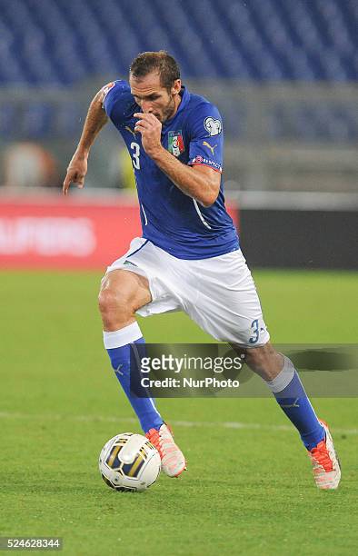 Giorgio Chiellini during the Qualifying Round European Championship football match Italia vs Norvegia at the Olympic Stadium in Rome, on october 13,...