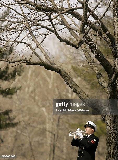 mia vietnam veteran buried at arlington - mia woods stock pictures, royalty-free photos & images