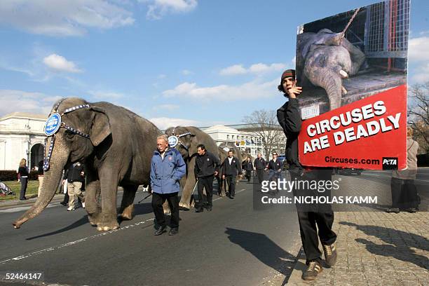 Protestor carries a poster showing a dying elephant as pachyderms from the Ringling Brothers and Barnum & Bailey circus march past Washington's Union...