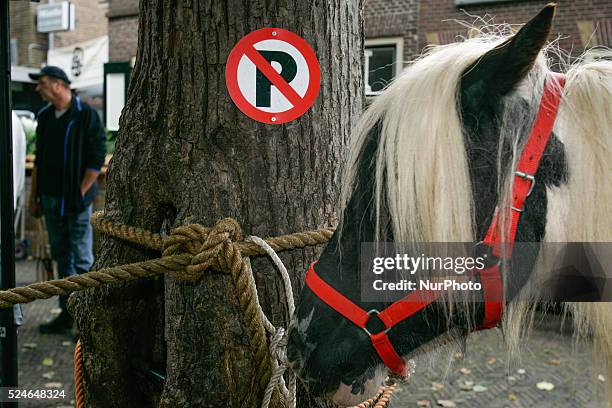 Horse dealers and their sticks used to keep the animals in place and calm. Every year on the 28th of July a horse market is held. The market...