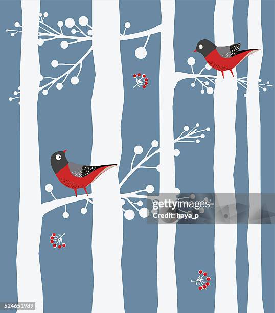 bird, forest, winter - blue cardinal bird stock illustrations