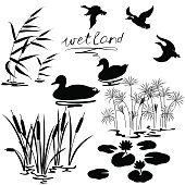 Wetland plants and birds set
