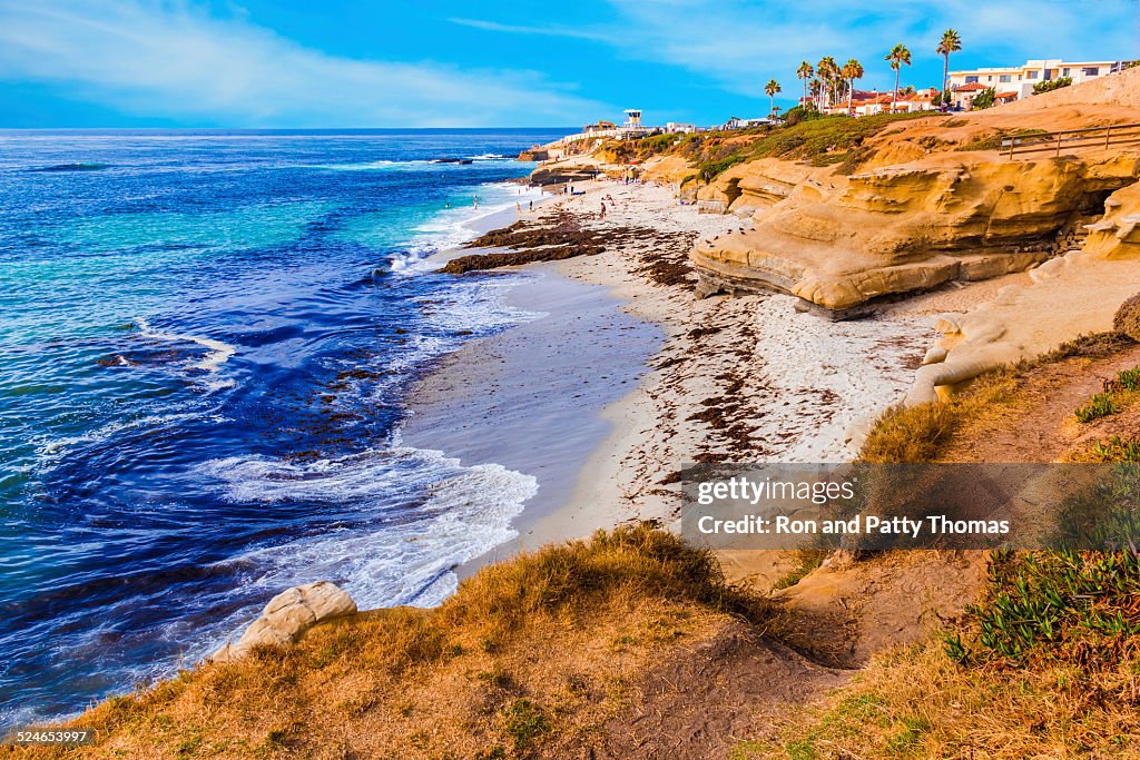 La Jolla costa no Sul da Califórnia, San Diego (P)