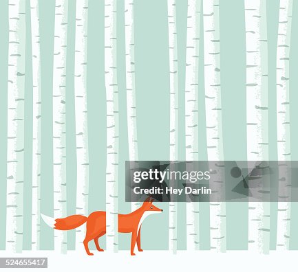 Aspen Fox Aspen Fox