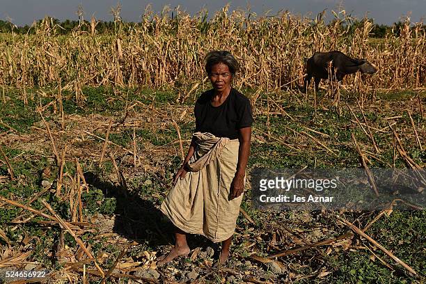 Farmers working on a dried up corn field in Sultan Sabarongis in Maguindanao on April 18, 2016 in Maguindanao Province, Philippines. "Mindanao is a...