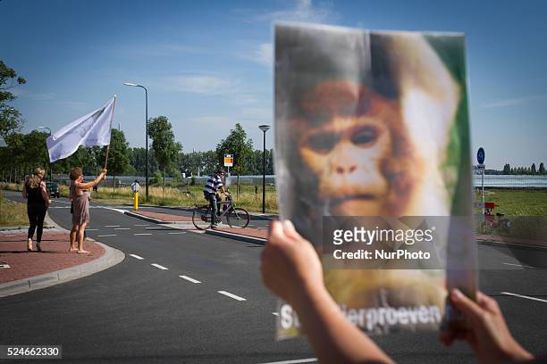 Friday, 10th July 2015, is the fifth day in a row that activists have been demonstrating in front of the Biomedical Primate Research Center against...