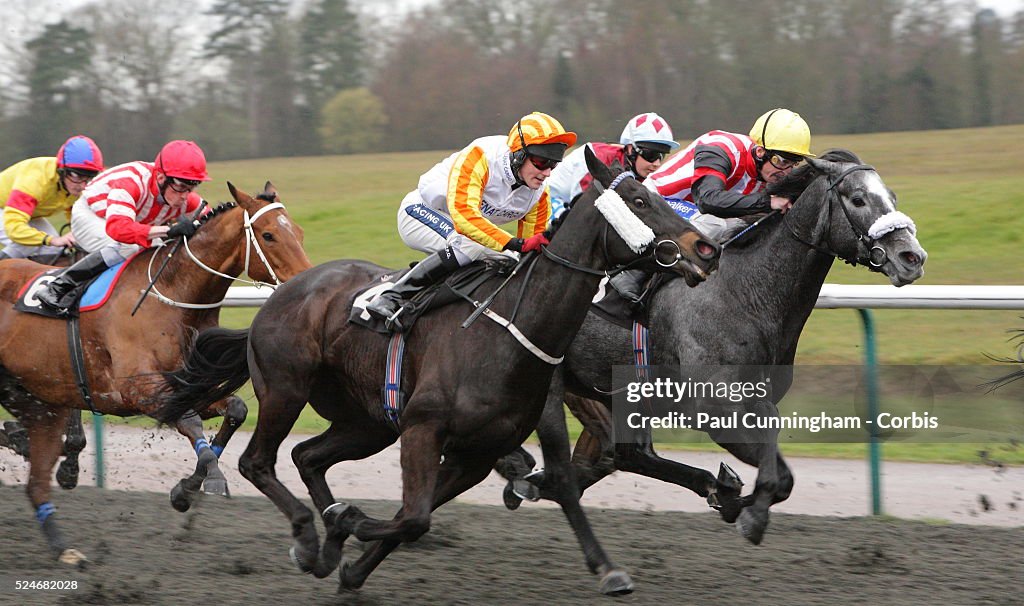 Horse Racing - Lingfield Park - March 30