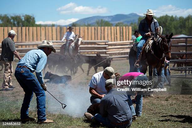 Wilsall Montana Photos and Premium High Res Pictures - Getty Images