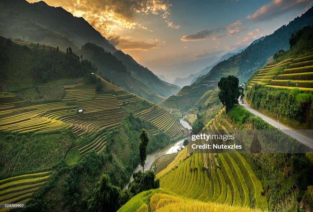 Rice terraces in Mu Cang Chai, North Vietnam