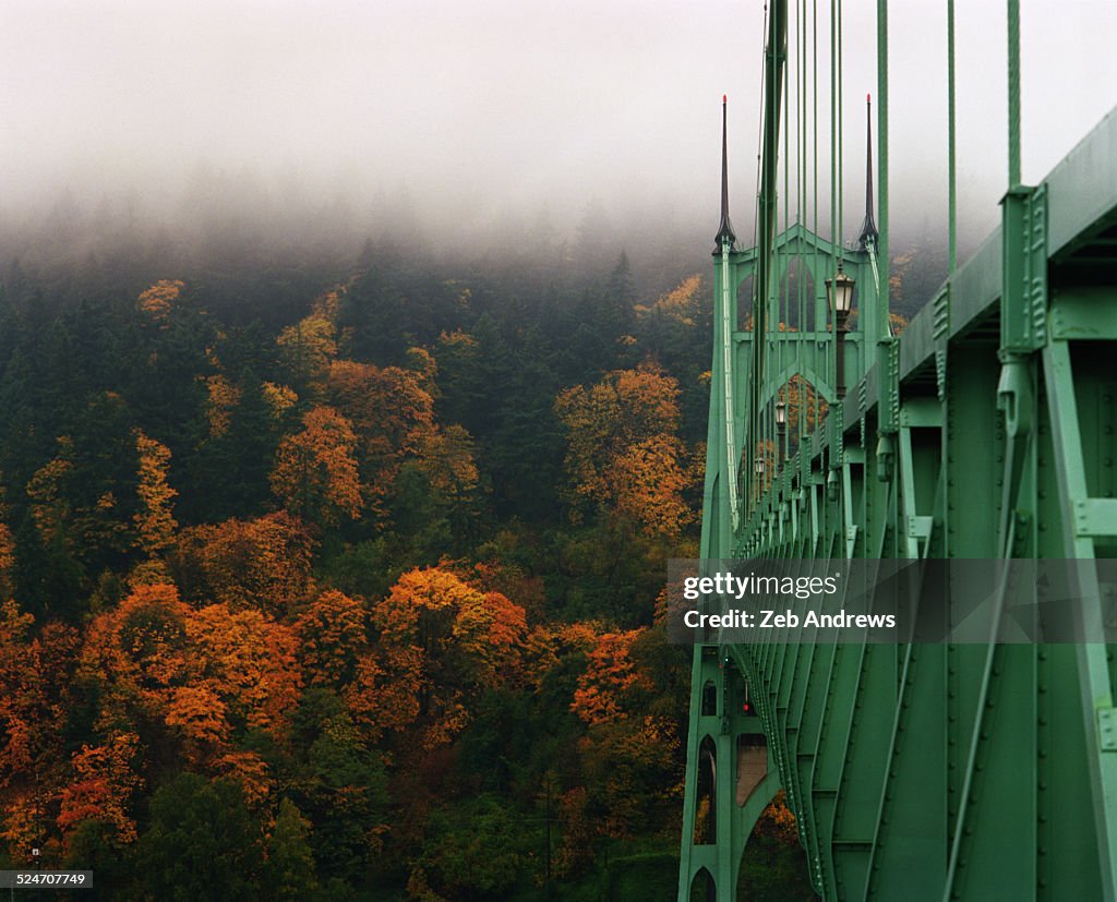 The St. Johns Bridge during the fall