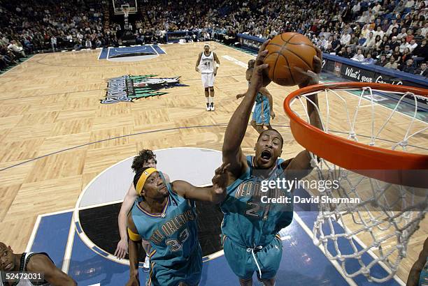 Jamaal Magloire of the New Orleans Hornets jumps to the basket as teammate Lee Nailon looks on during a game against the Minnesota Timberwolves on...