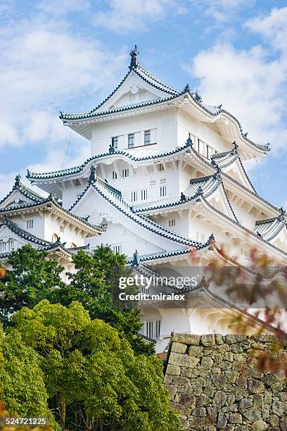 samurai himeji castle with red fall leafs in japan - himeji stockfoto's en -beelden