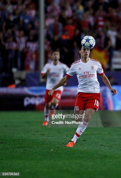 Benfica's Argentinean midfielder Nicol��s Gait��n during the Champions League 2015/16 match between Atletico de Madrid and Benfica, at Vicente...