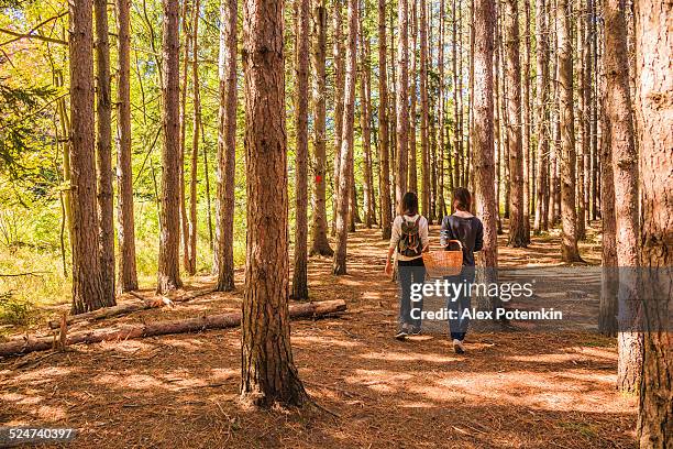 zwei teenager-mädchen wandern im wald - pocono stock-fotos und bilder