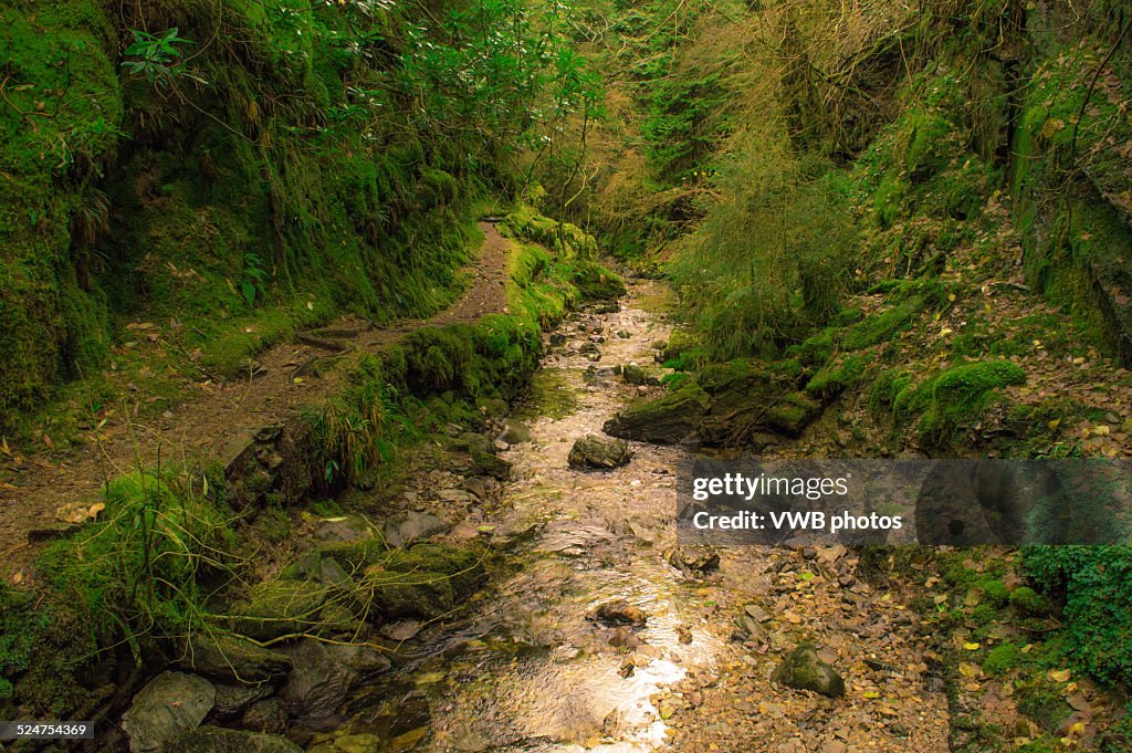 Pucks Glen, Cowal Peninsula, Argyll and Bute