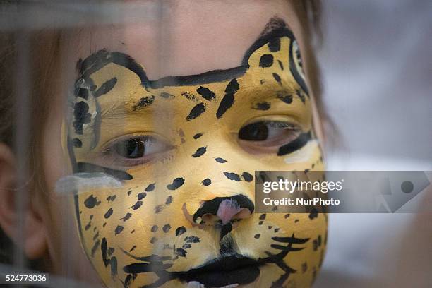 February 2016 - On Sunday a cat show with several thousand visitors took place at the newly built Zielony Arkady shopping mall. On February 17th in...