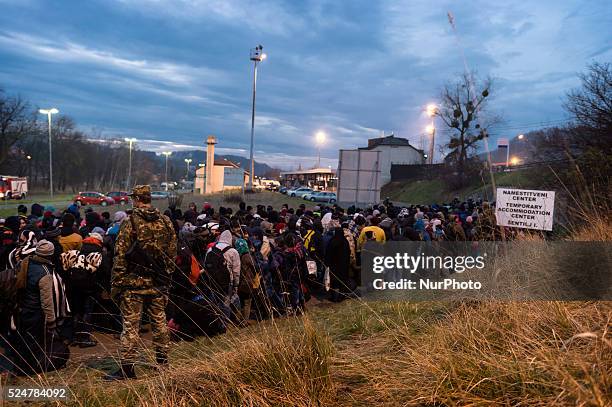 Migrants wait to be allowed to cross to Austria, in Sentilj, Slovenia. About 5,000 migrants are reaching Europe each day along the so-called Balkan...