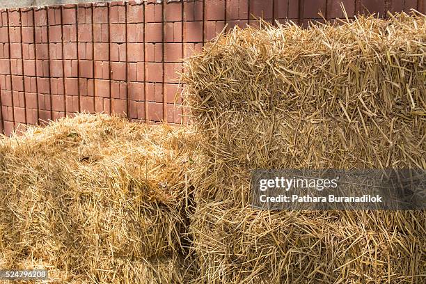 Chaff Def 200 Wheat Chaff Stock Photos, High-Res Pictures, and Images - Getty Images