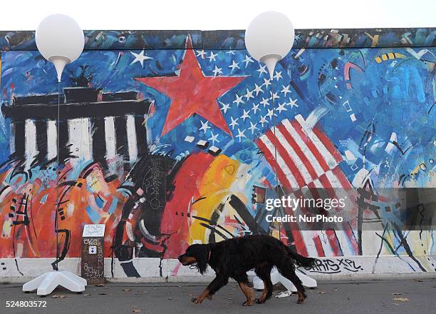 Lonely dog passing near the Berlin's Wall as the Celebrations to mark the 25th anniversary of the fall of the Berlin Wall kick off. Berlin, Germany,...