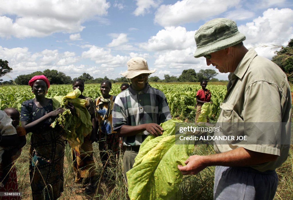 TO GO WITH AFP STORY: "Zimbabwe-vote-lan