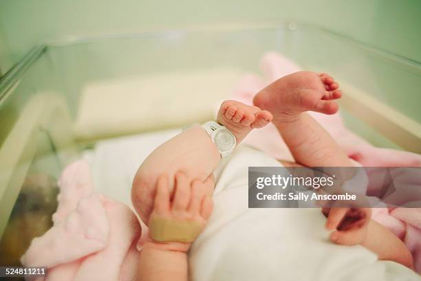 baby in hospital - ein weibliches baby allein stock-fotos und bilder