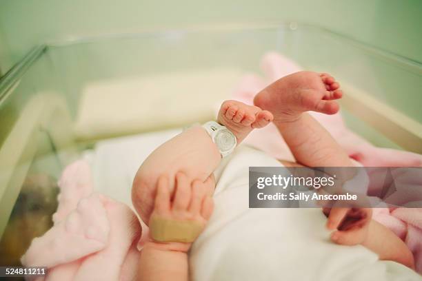 baby in hospital - newborn baby fotografías e imágenes de stock