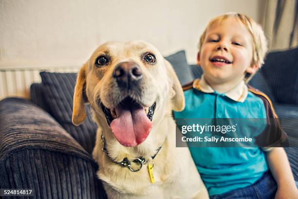 happy little boy with his pet dog - retriever du labrador photos et images de collection