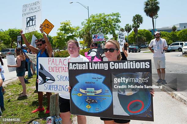 May 9 Protestors line up outside the Seaquarium in the hot afternoon sun supporting Lolita the Whale who lives at the Seaquarium. The size of...