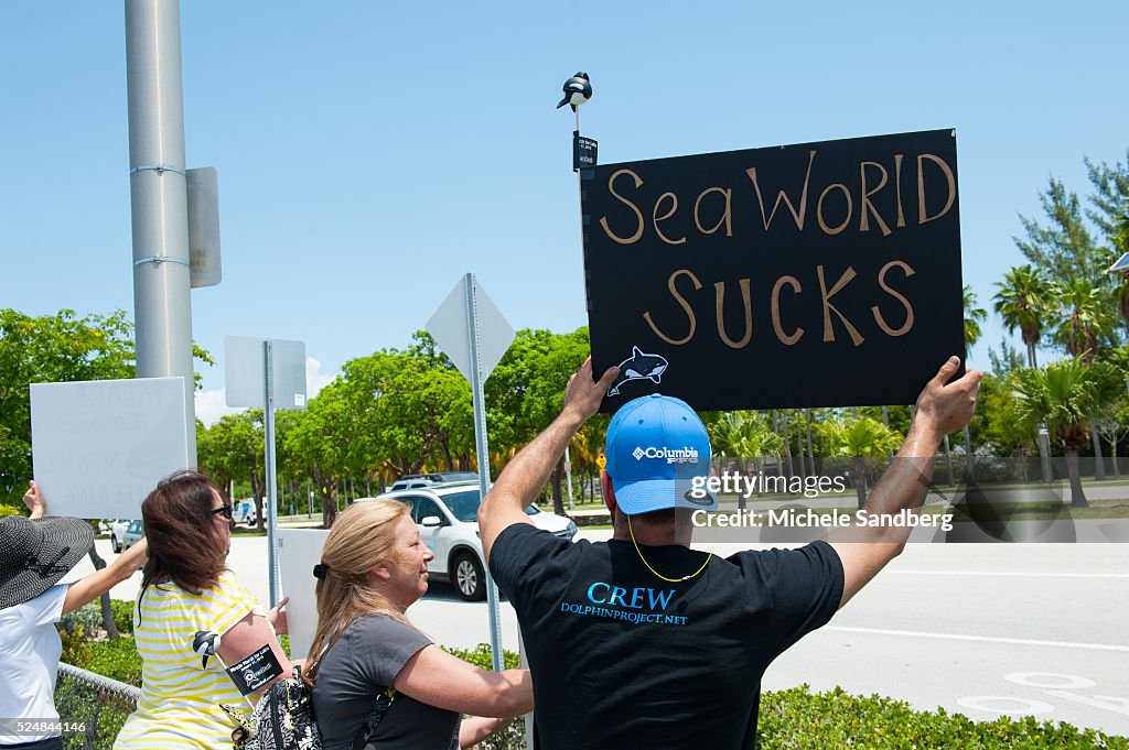 2015 May 9 Advocates Hold Protest In Support Of Lolita At Miami Seaquarium