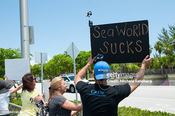 May 9 Protestors line up outside the Seaquarium in the hot afternoon sun supporting Lolita the Whale who lives at the Seaquarium. The size of...