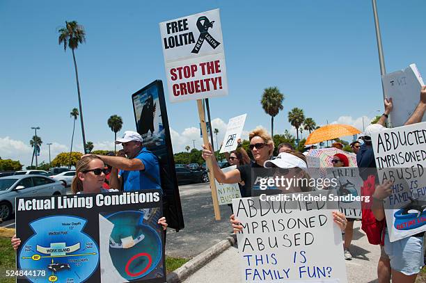 May 9 Protestors line up outside the Seaquarium in the hot afternoon sun supporting Lolita the Whale who lives at the Seaquarium. The size of...