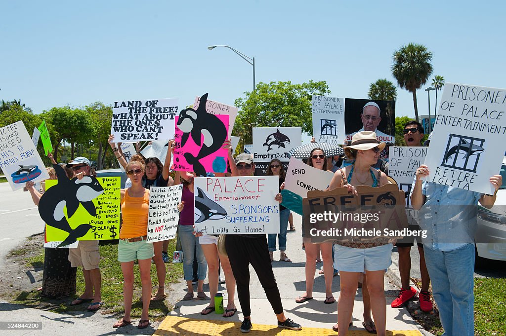 2015 May 9 Advocates Hold Protest In Support Of Lolita At Miami Seaquarium