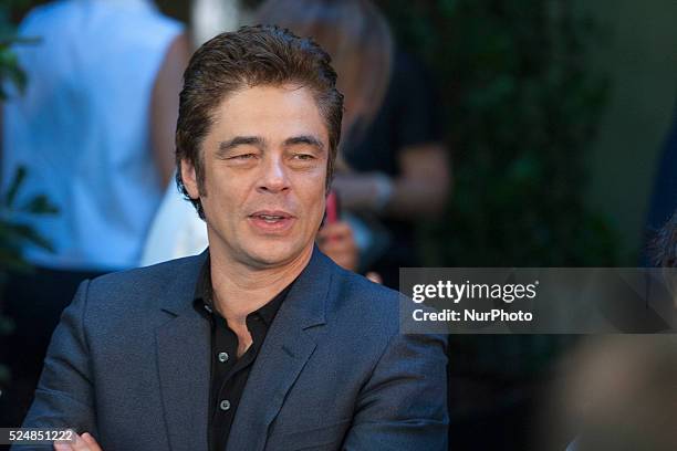 Benicio del Toro attends 'Un Dia Perfecto' photocall at Villamagna Hotel on August 25, 2015 in Madrid, Spain.