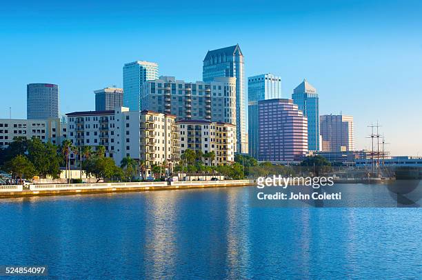 tampa, florida - tampa stock pictures, royalty-free photos & images