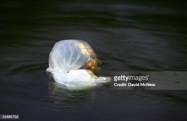 Man wears a white plastic bag on his head to better resemble industrial pollution foam in the New River, reportedly the most polluted river in the...