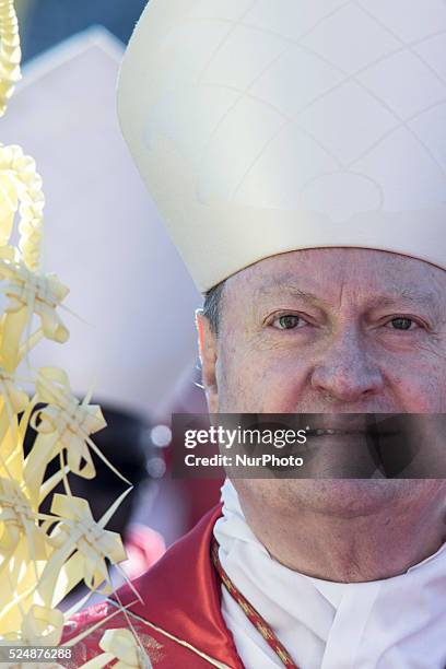 Cardinal during the Palm Sunday celebrations at St Peter's square on March 29, 2015 at the Vatican. On Palm Sunday Christians celebrate Jesus'...