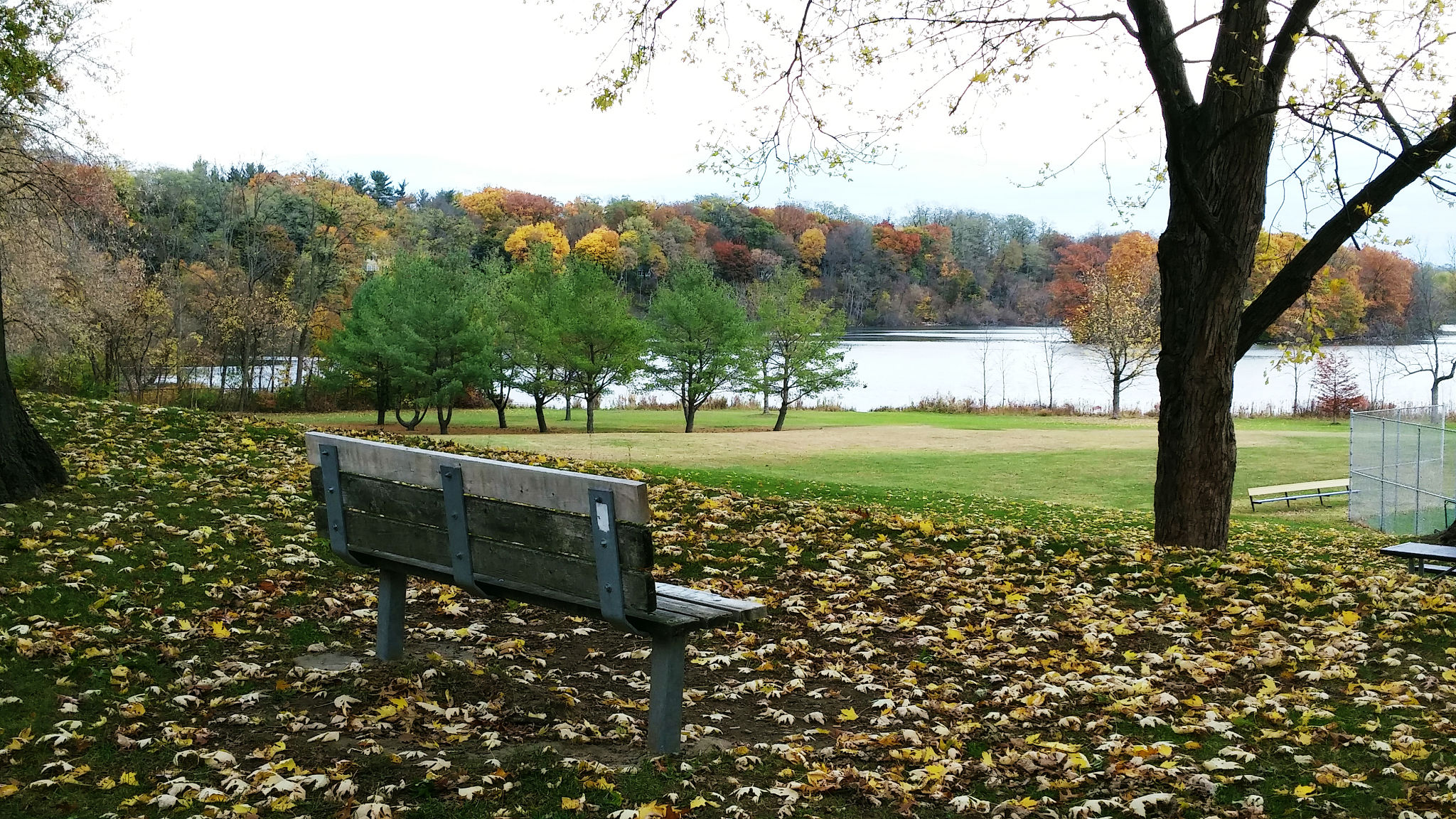 schenectady park