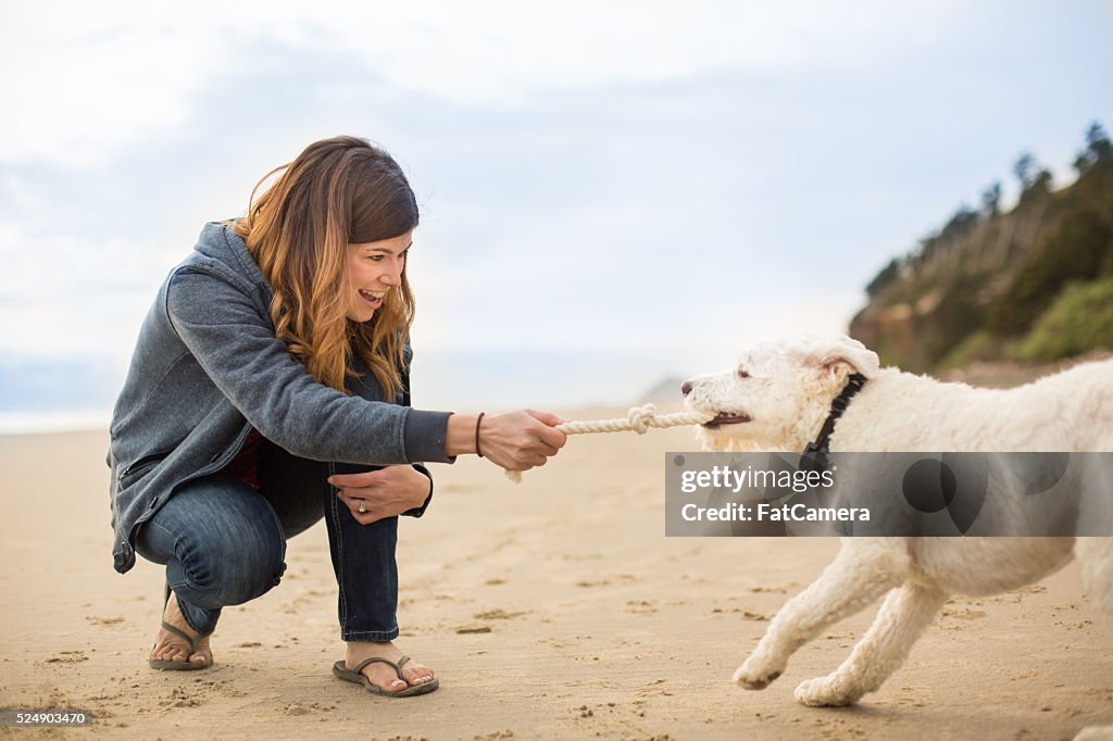 Pet owner playing tug of war with her dog on the beach