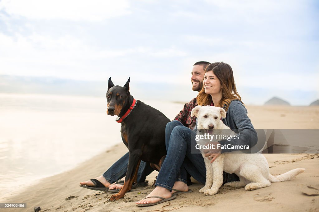 Beau couple sur la plage avec leur chien