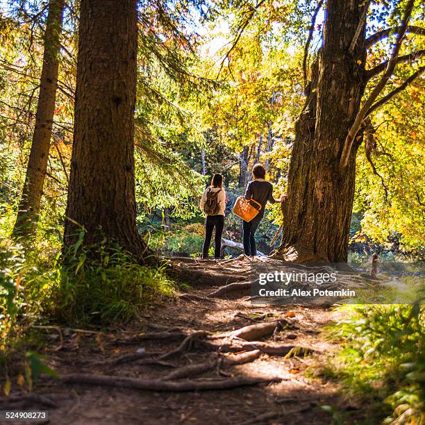 duas menina adolescente na floresta junto ao rio - montanhas pocono imagens e fotografias de stock