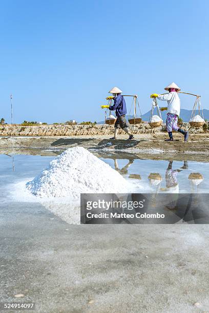 asian workers in a salt pan with baskets, vietnam - nha trang stock pictures, royalty-free photos & images