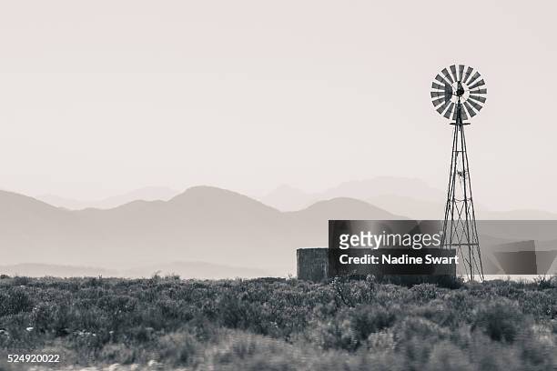 calitzdorp, south africa - 半沙漠高原 個照片及圖片檔