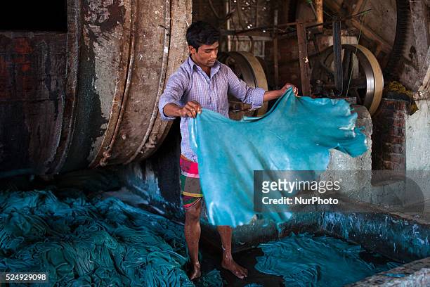 Workers process animal skins in a Leather factory in Hazaribagh, Dhaka. Tanneries in the city's Hazaribagh area discharge 30000 square meters of...